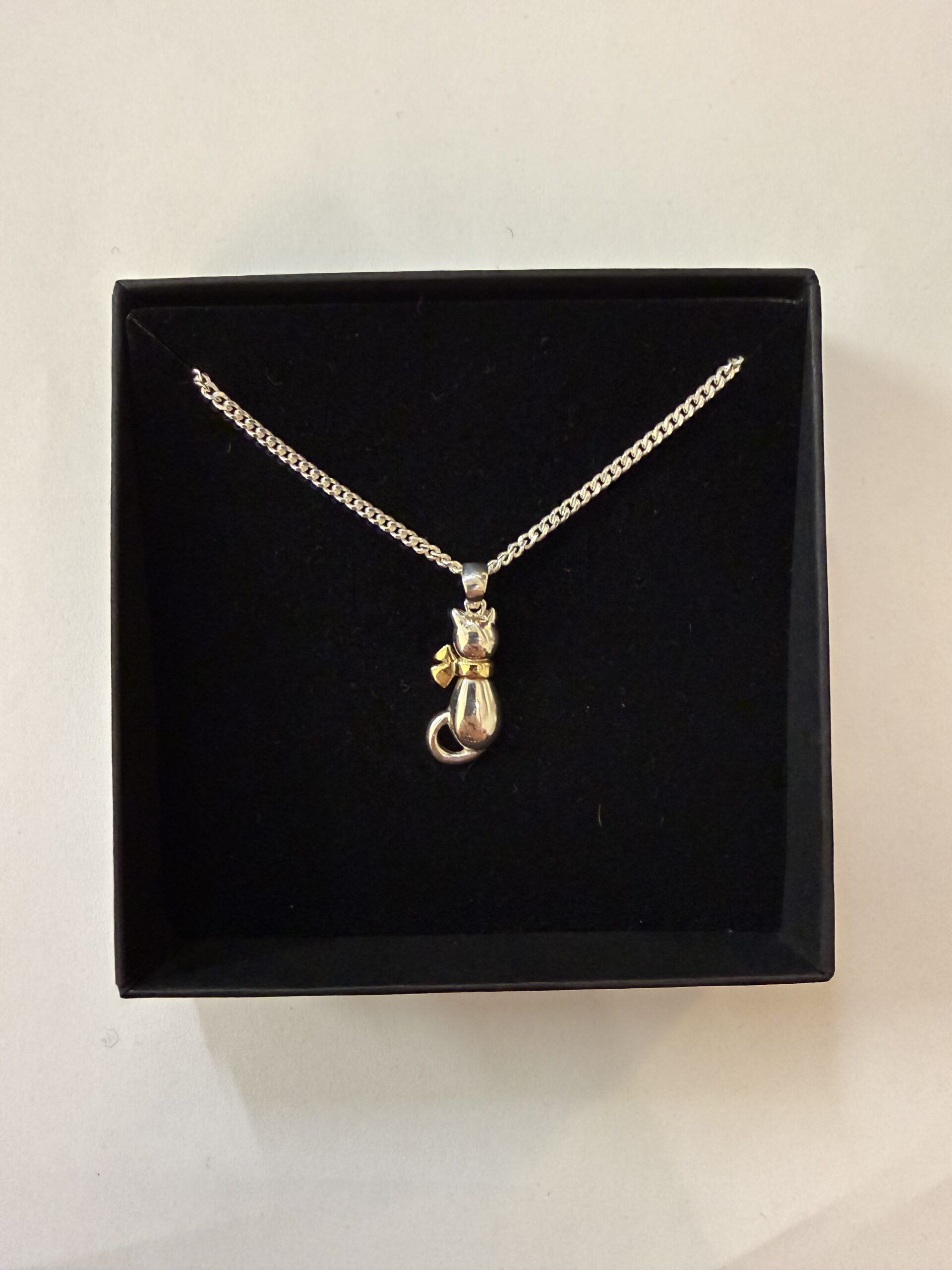 hopea-kissa-riipus-koru